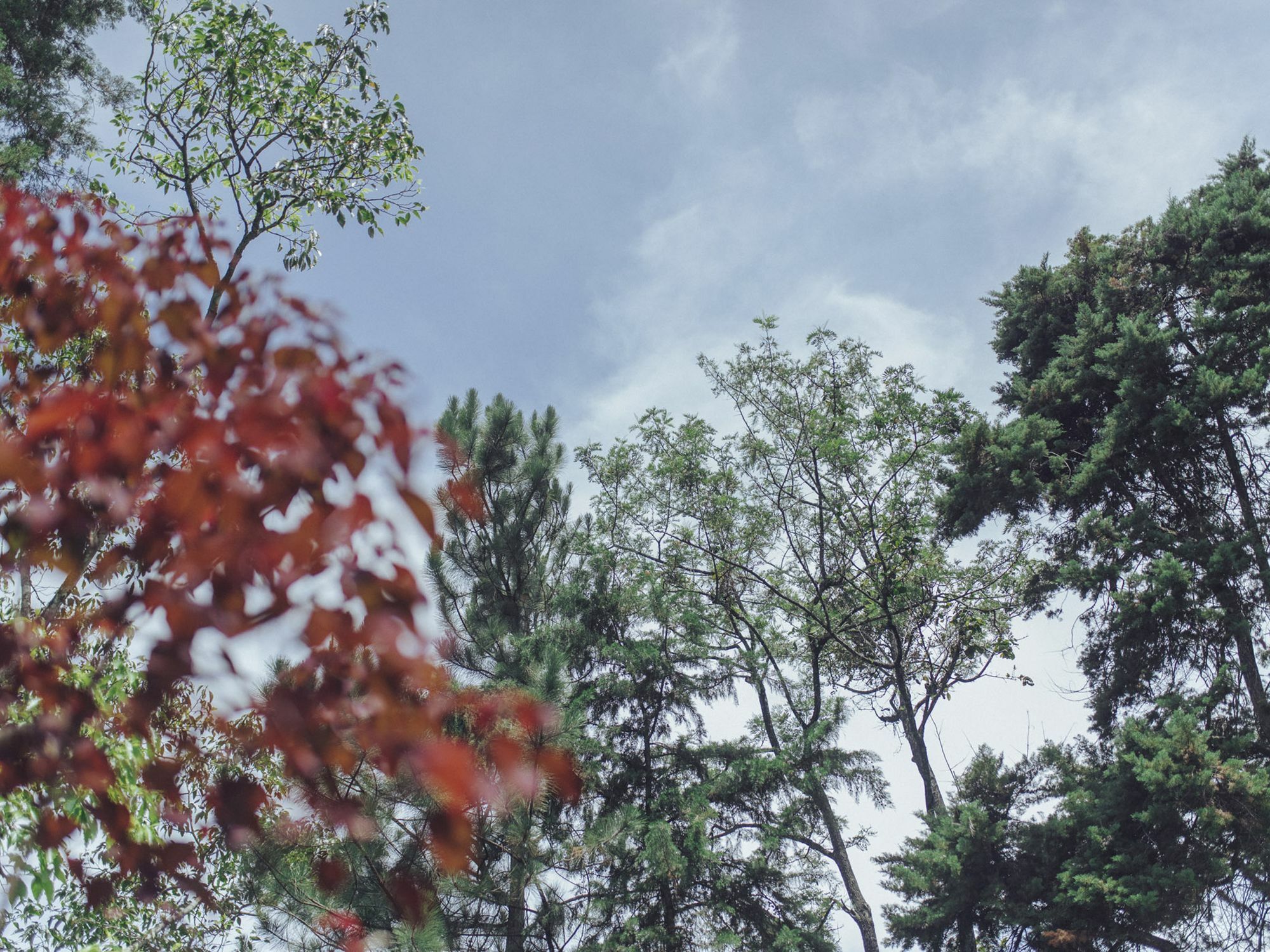 Villa Republic Bandarawela Kültér fotó