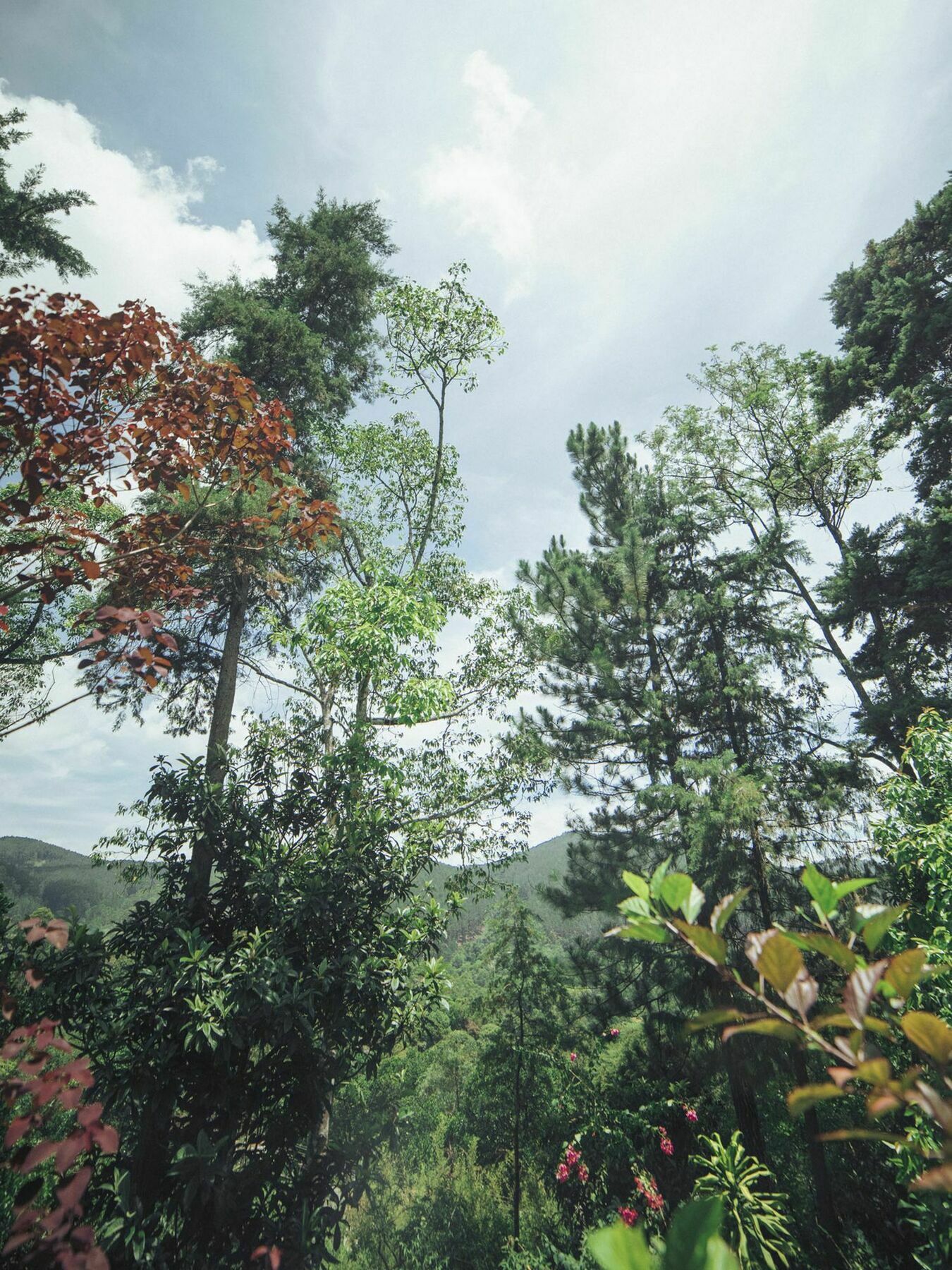 Villa Republic Bandarawela Kültér fotó
