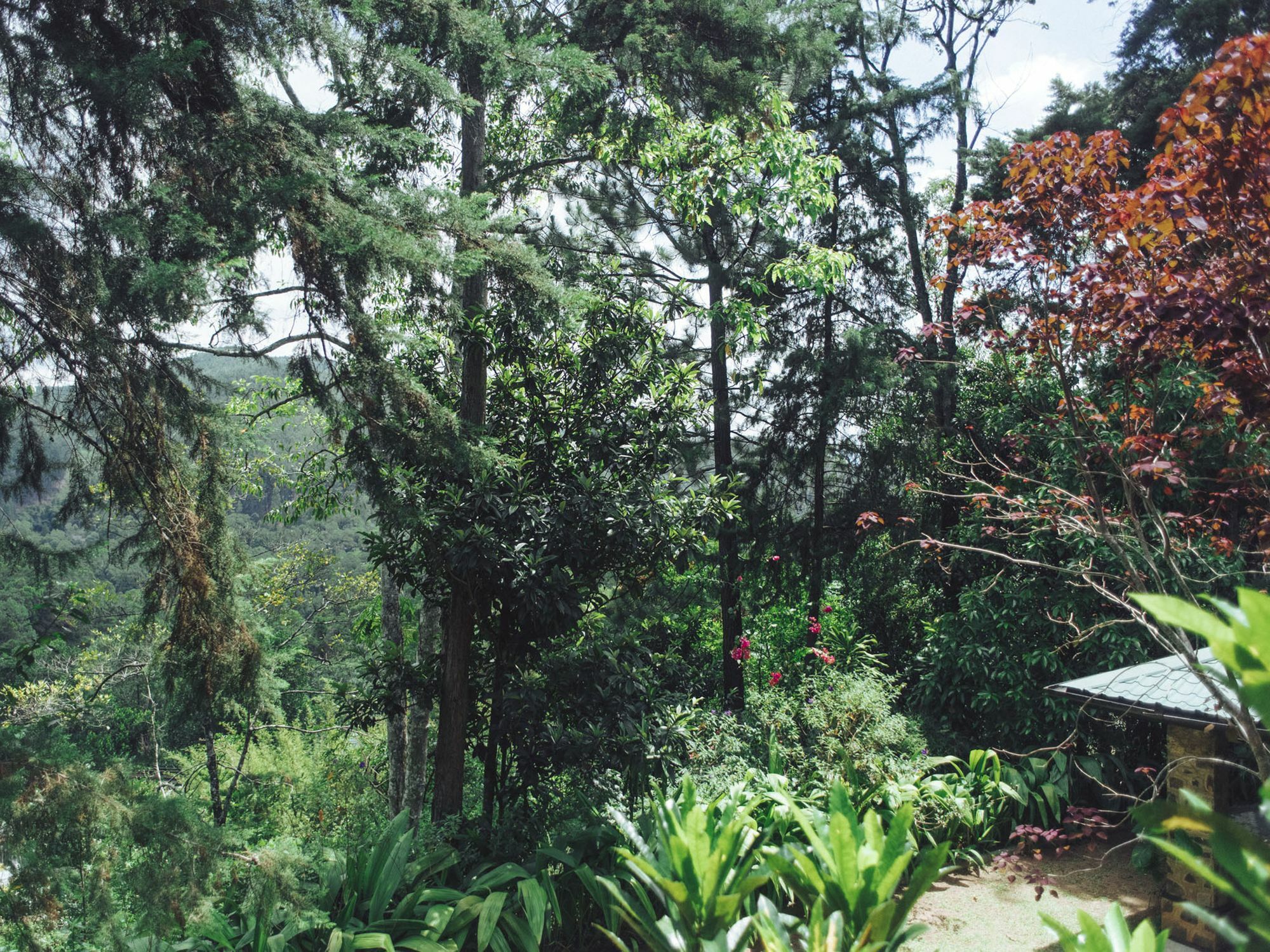 Villa Republic Bandarawela Kültér fotó